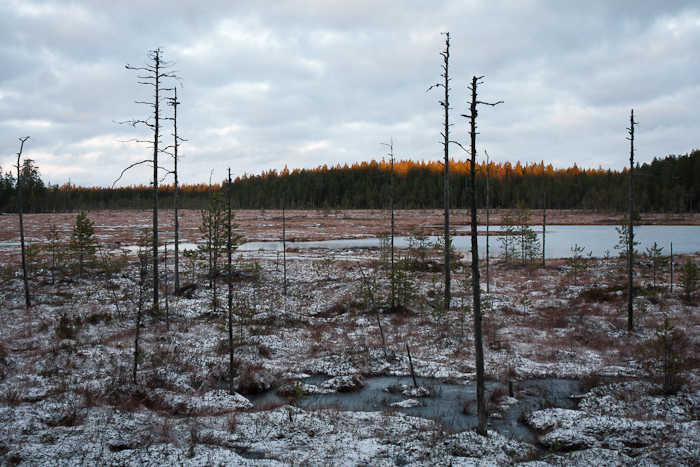 20111205 1048-22 109.jpg