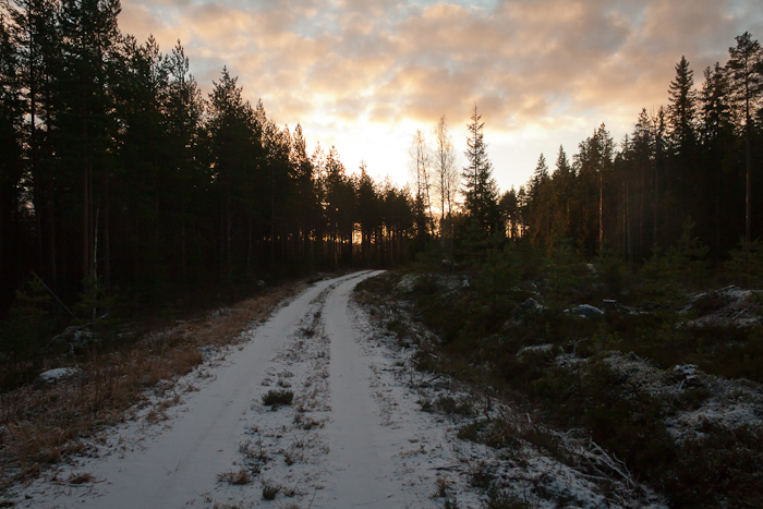 20111205 1140-43 143.jpg